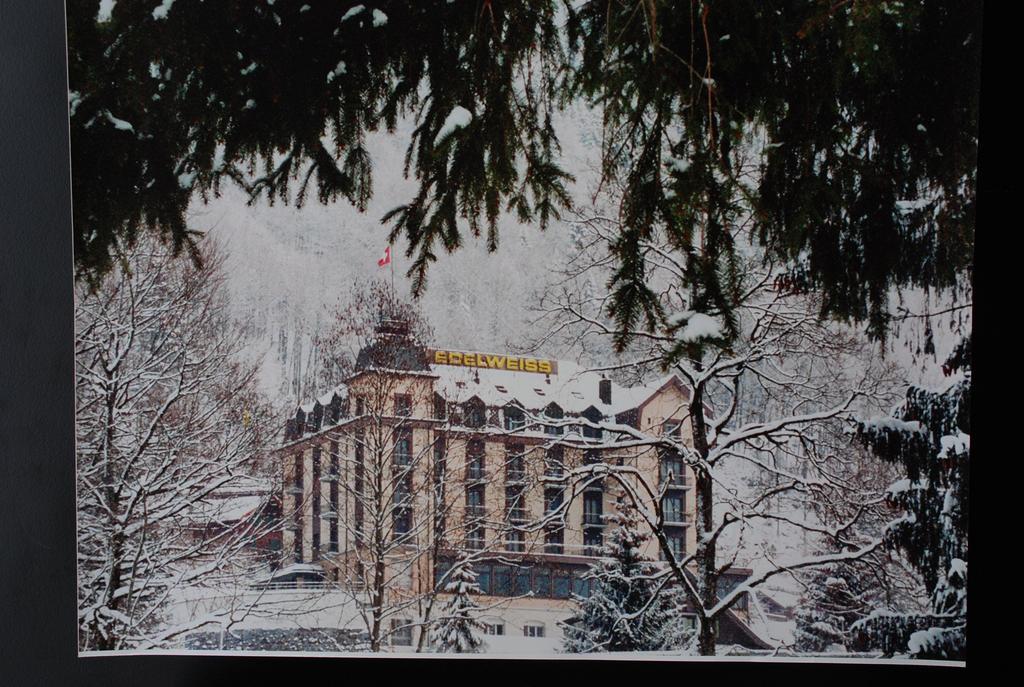 Hotel Edelweiss Engelberg Bagian luar foto